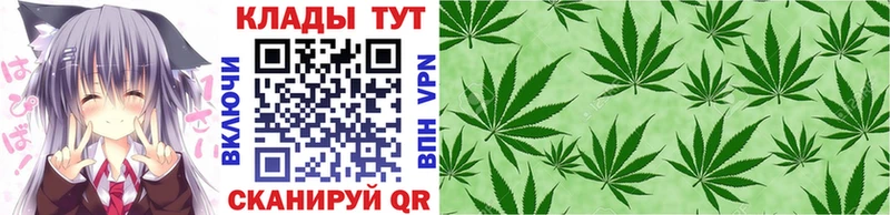 Как найти закладки Сураж ГАШИШ  А ПВП  COCAIN  Меф мяу мяу  Каннабис 