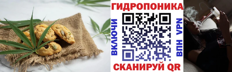 Cannafood конопля  Сураж 