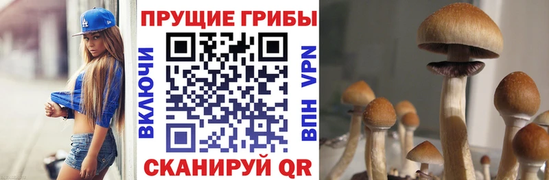 Галлюциногенные грибы прущие грибы  blacksprut онион  Сураж 